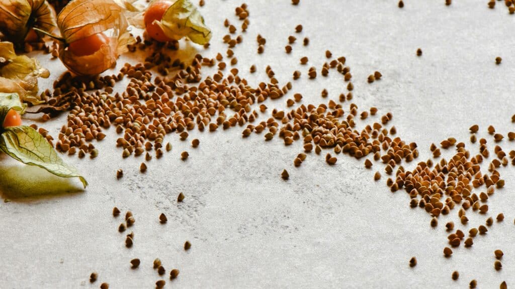 Ultra-Processed People. Why Do We All Eat Stuff That Isn’t Food. Book Review